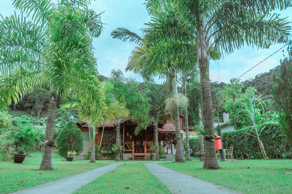 弗洛里亞諾元帥鎮的住宿－Chácara em Marechal Floriano，前面有棕榈树的房子