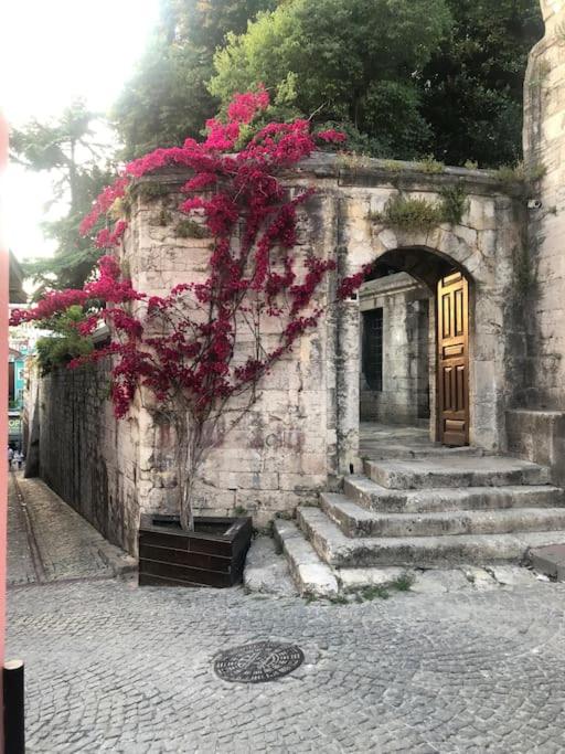 Fotografie z fotogalerie ubytování Erkul OLD CITY 2 v destinaci Istanbul