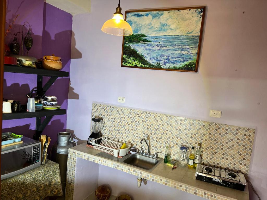 Kuchyň nebo kuchyňský kout v ubytování Hotel Balché