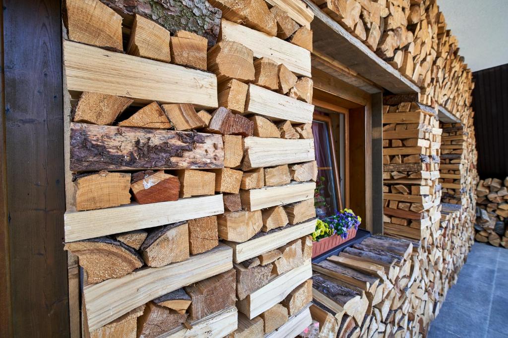 Fotografie z fotogalerie ubytování Hotel Žalý Apartmány na Benecku