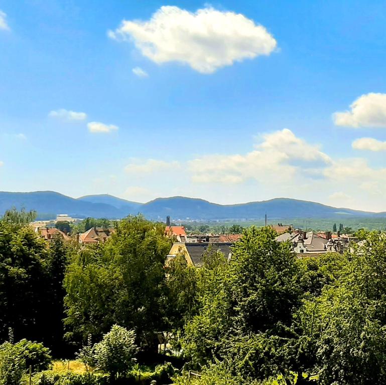 Příroda nedaleko apartmánu