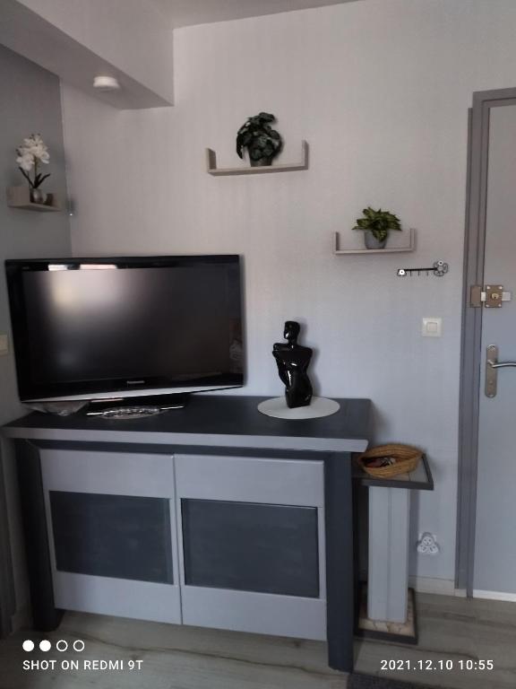 Televízia a/alebo spoločenská miestnosť v ubytovaní Résidence l'hippocampe