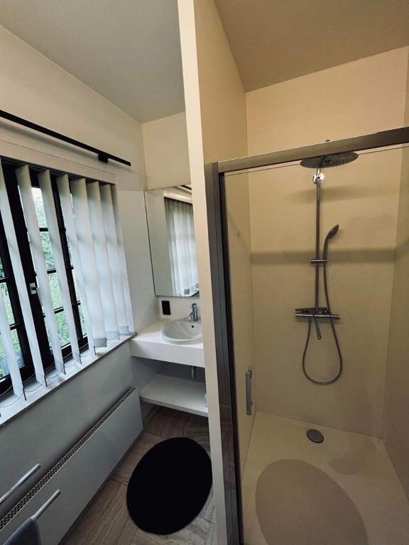 Koupelna v ubytování Guesthouse Ter Linden
