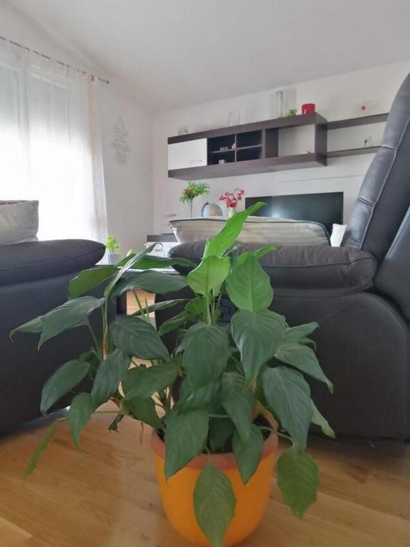 Posedenie v ubytovaní Apartment Spalato