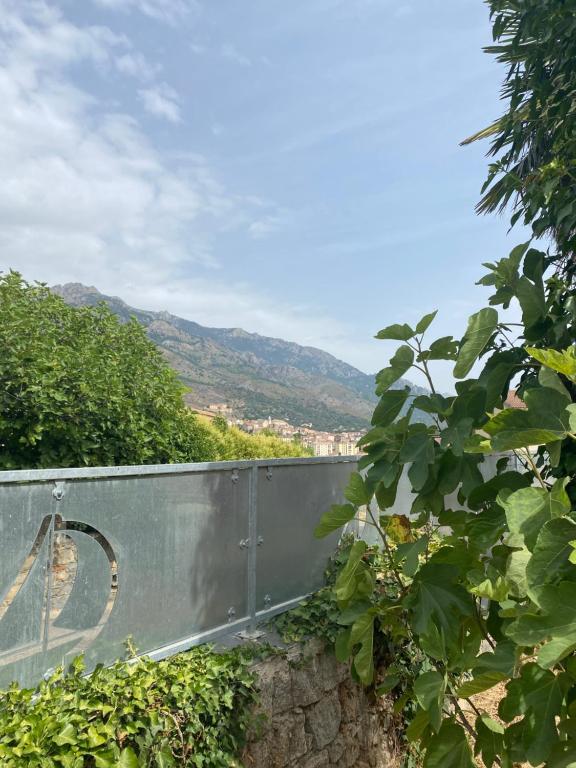 Maison à Corte (Centre Corse) avec piscine et jardin