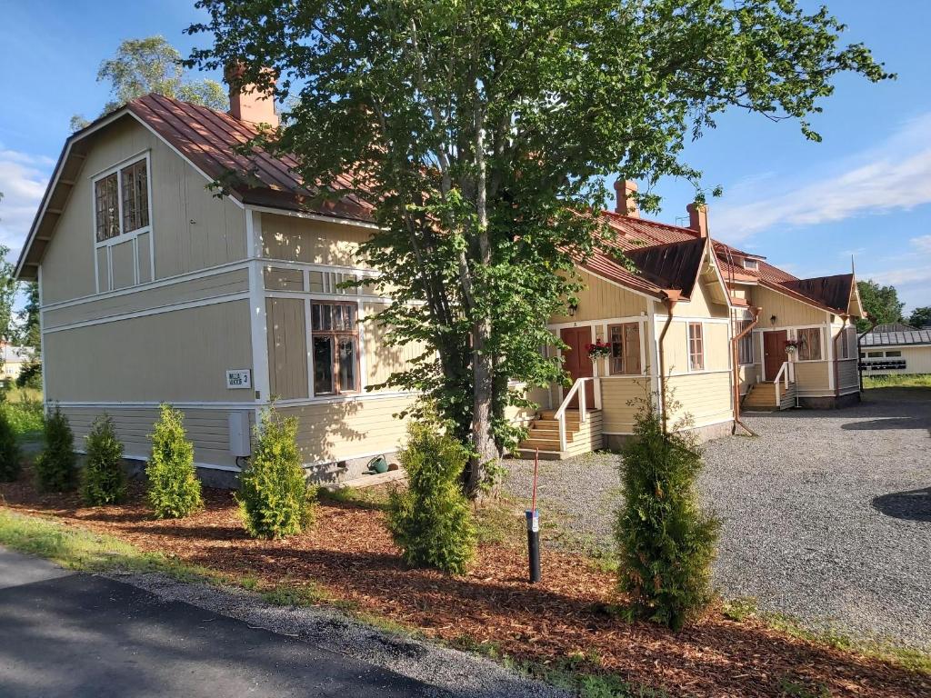 una casa con un árbol delante de ella en Willa Viktorin Vintti, en Kristinestad