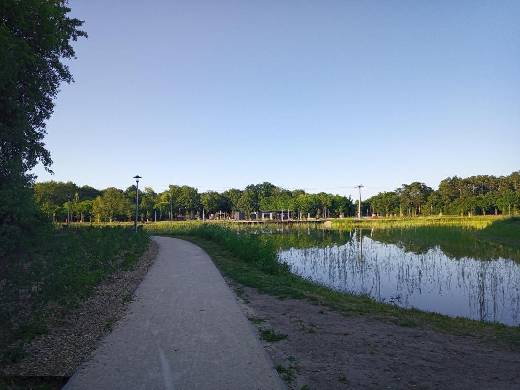 Przyroda w pobliżu tego apartamentu
