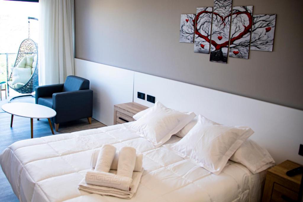 Hotel Spa Mirador - Standard Double Room