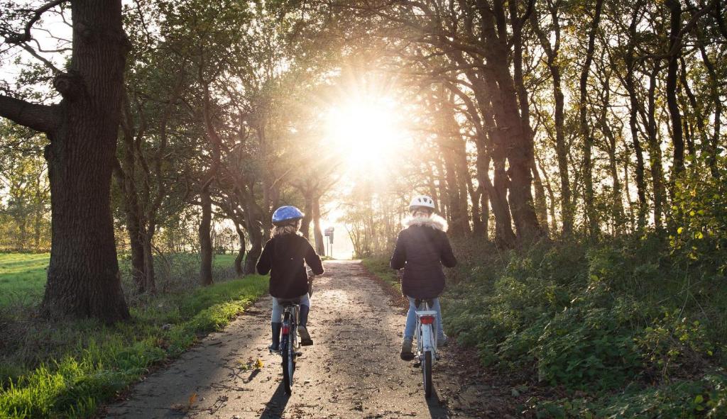 two people riding bikes down a dirt path with the sun shining at Hotel Schweizer Hof in Lottstetten