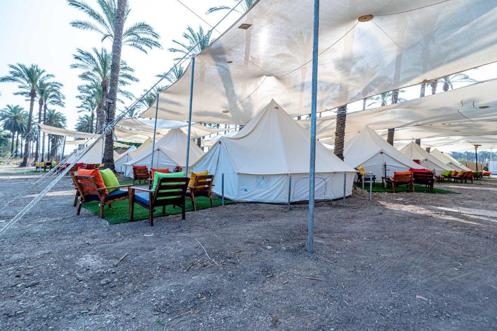 Gallery image of Mia Glamping Kinneret in Samra