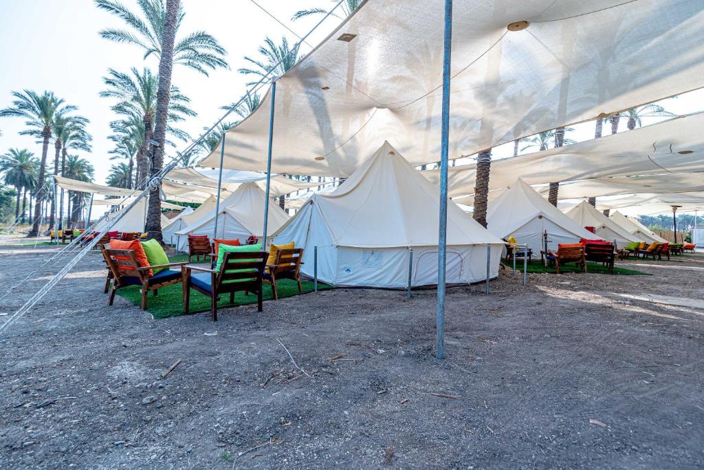 Gallery image of Mia Glamping Kinneret in HaOn