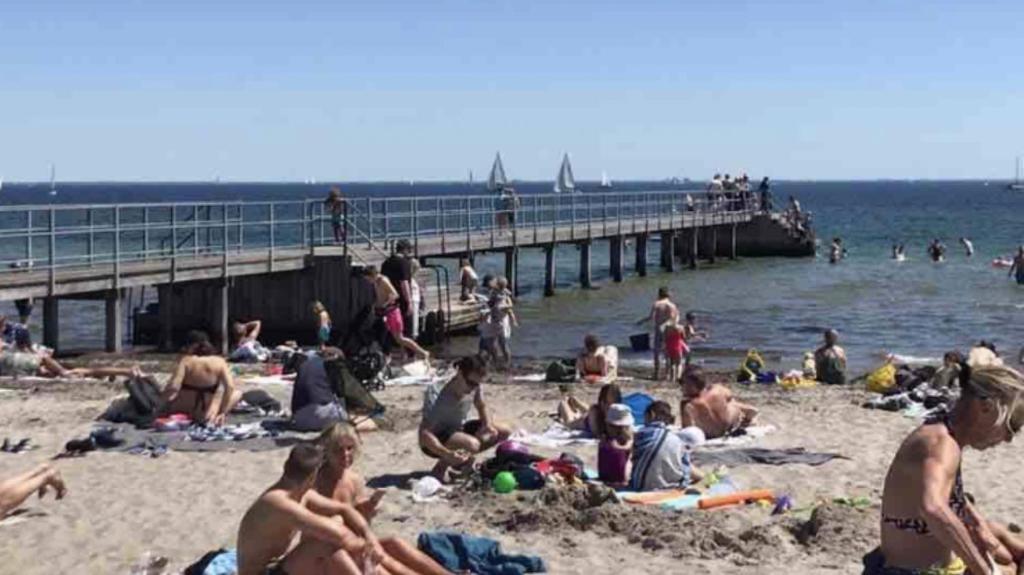 Hosté ubytování Seaview and swimming