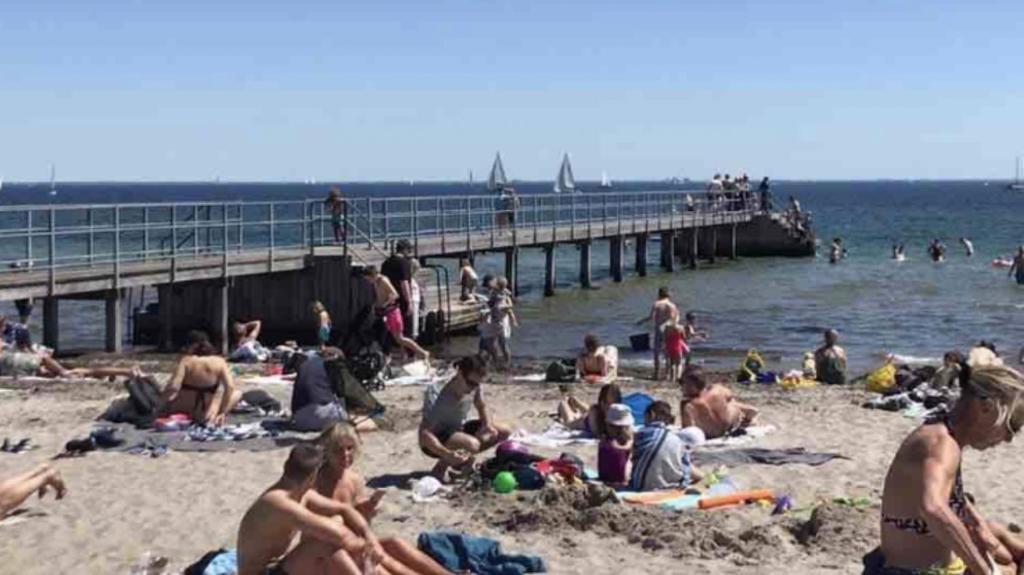 un grupo de personas en la playa cerca de un muelle en Seaview and swimming, en Hellerup