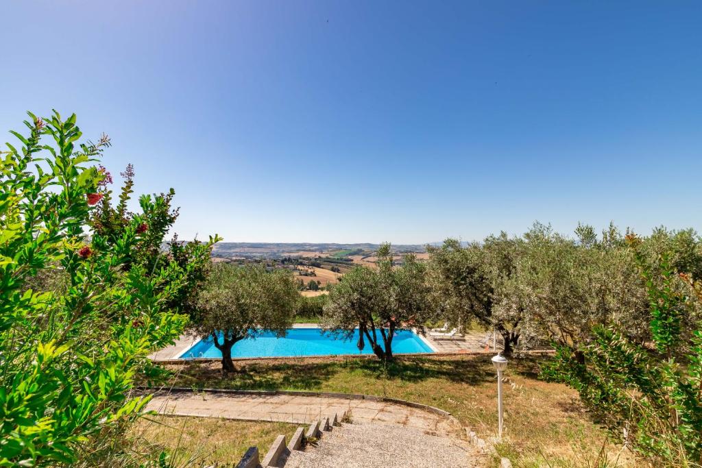 vistas a una piscina en un jardín de olivos en Italian Experience-Casale Agrimarino en Trecastelli
