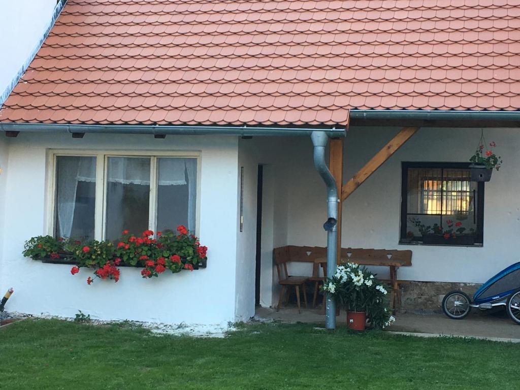 Zahrada ubytování Statek Straňovice