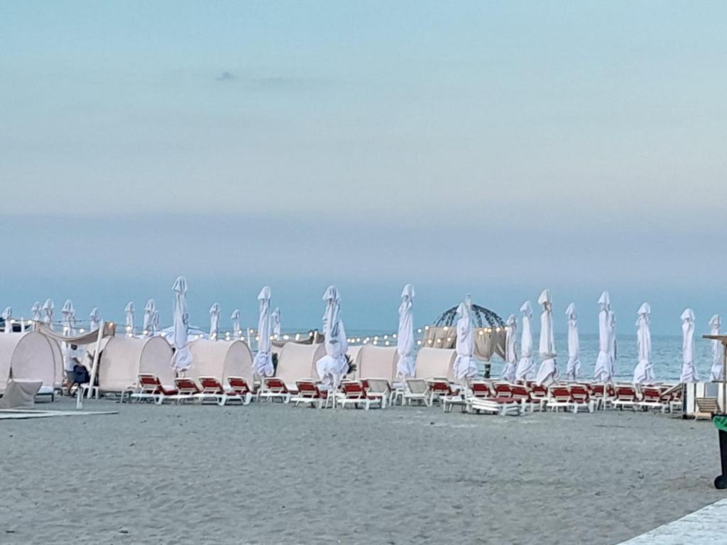 eine Gruppe von Stühlen und Sonnenschirmen an einem Strand in der Unterkunft Morsky in Năvodari
