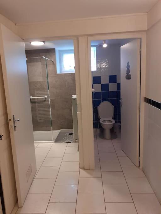 a bathroom with a shower and a toilet in it at gite chez Maise in Le Val-dʼAjol