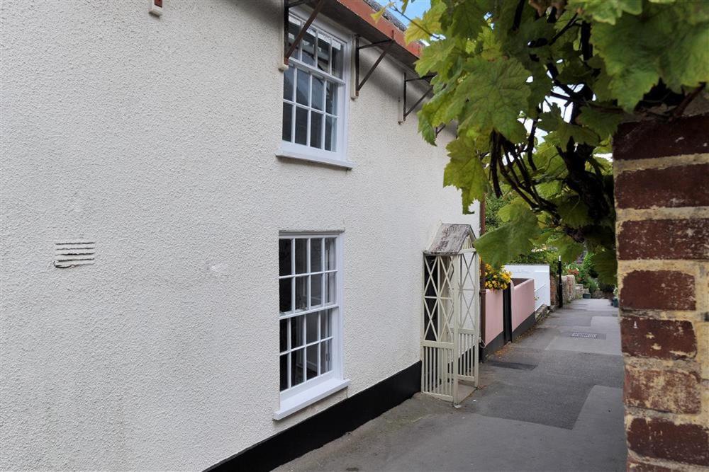 The Nest, Lyme Regis (updated prices 2024)