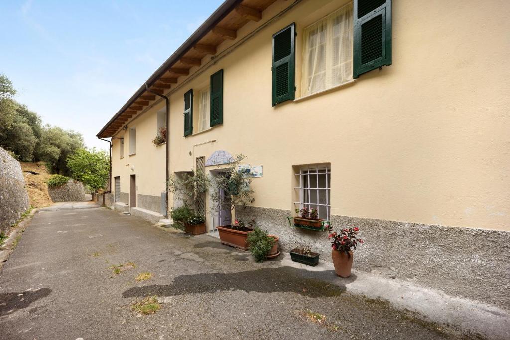 Profumo di Lavanda Lilla - Housity