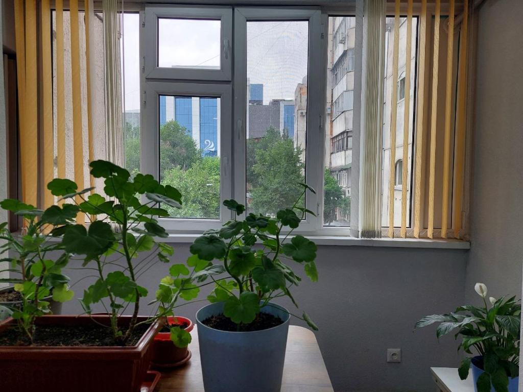 Fotografie z fotogalerie ubytování Downtown Homestay v destinaci Biškek