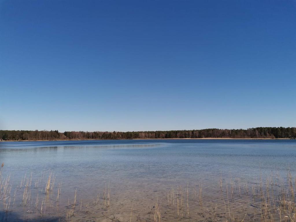 a large lake with some grass in the water at Bungalow nebst Wohnwagen für 4 bis 5 Personen in Nähe von See- und Tesla 