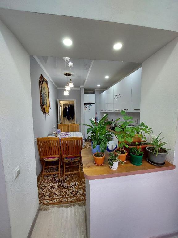 Fotografie z fotogalerie ubytování Downtown Homestay v destinaci Biškek