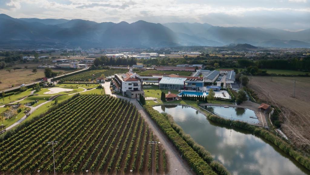 an aerial view of a town with a river and vineyards at Uva Nestum Wine & SPA in Gotse Delchev