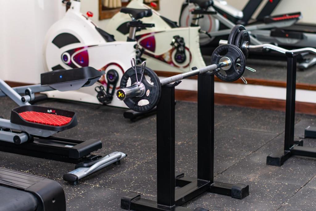 Fitness centrum a/nebo fitness zařízení v ubytování Basera Boutique Hotel