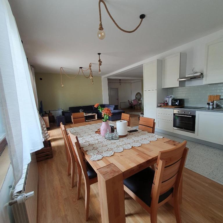 Kuchyň nebo kuchyňský kout v ubytování Che Private Rooms Banovci