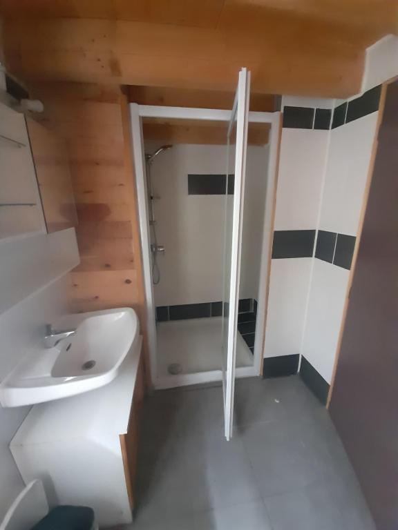 a small bathroom with a toilet and a sink at Marmotte - Apartment near the cable car in La Grave in La Grave