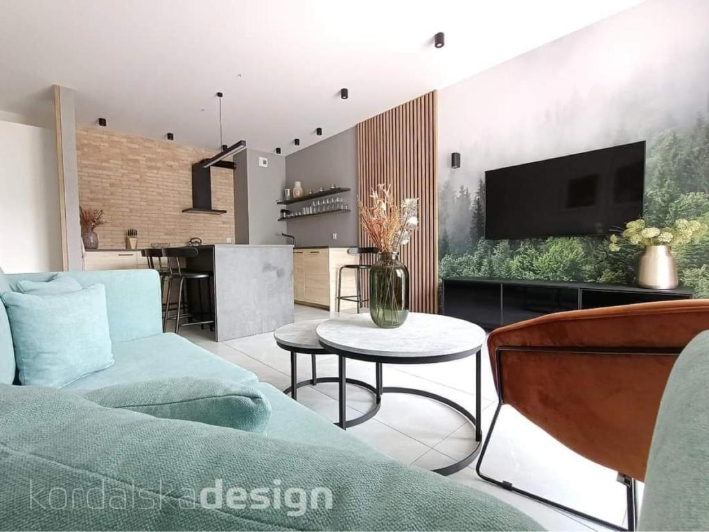 salon z kanapą i telewizorem w obiekcie Apartament Przystań Iława Green w Iławie