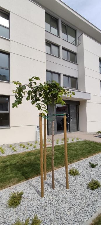 Budova, v ktorej sa apartmán nachádza
