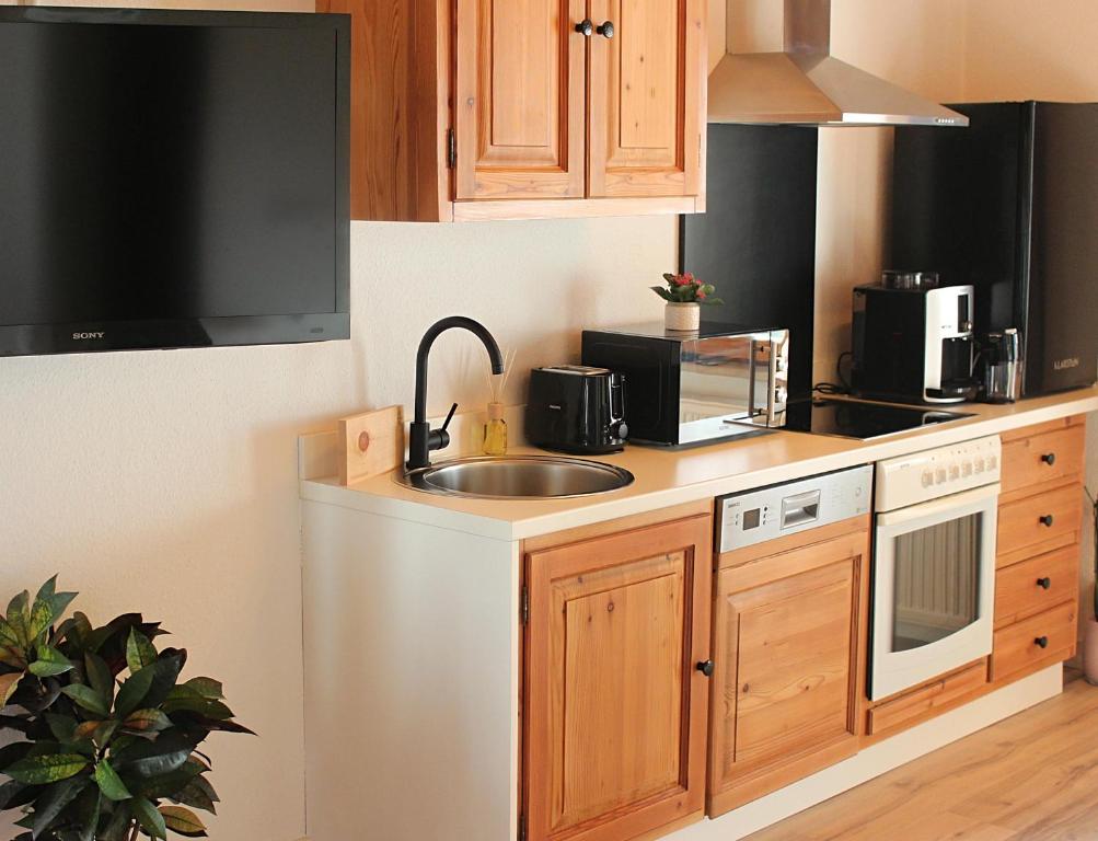 una cucina con lavandino e forno a microonde di Villa Bischofsberg - Lärchen-Wellness Apartment a Windischgarsten
