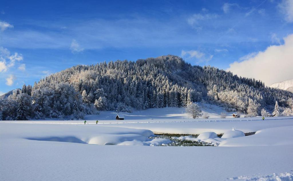 Paesaggio naturale nelle vicinanze dell'affittacamere