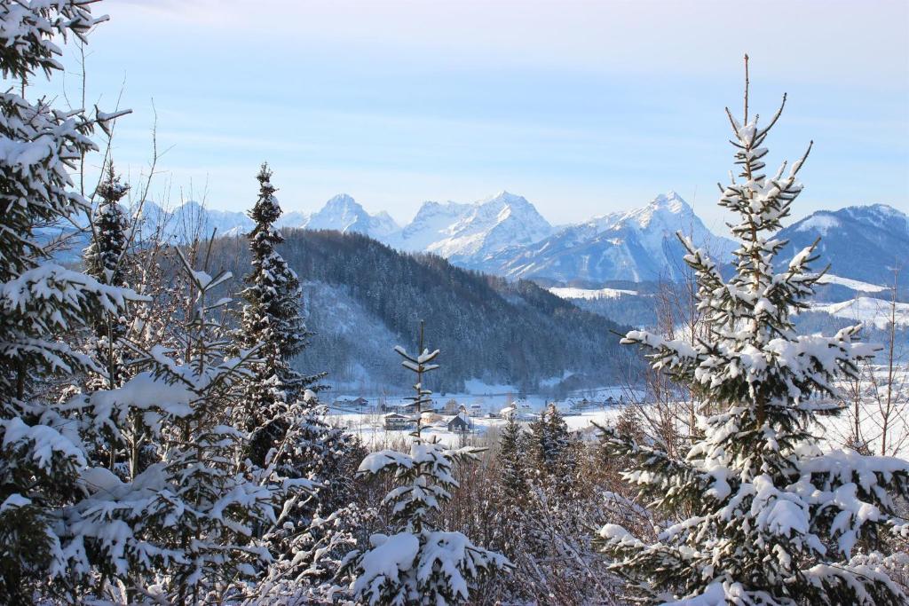 Paesaggio naturale nelle vicinanze dell'affittacamere