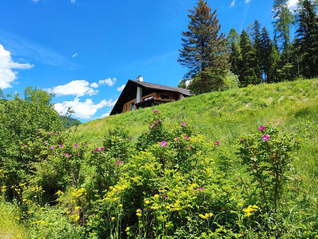 Paesaggio naturale nelle vicinanze dell'affittacamere