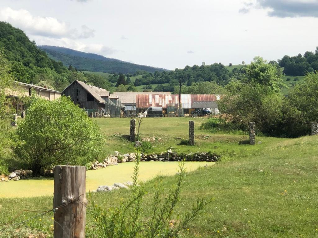 Príroda v okolí apartmánu