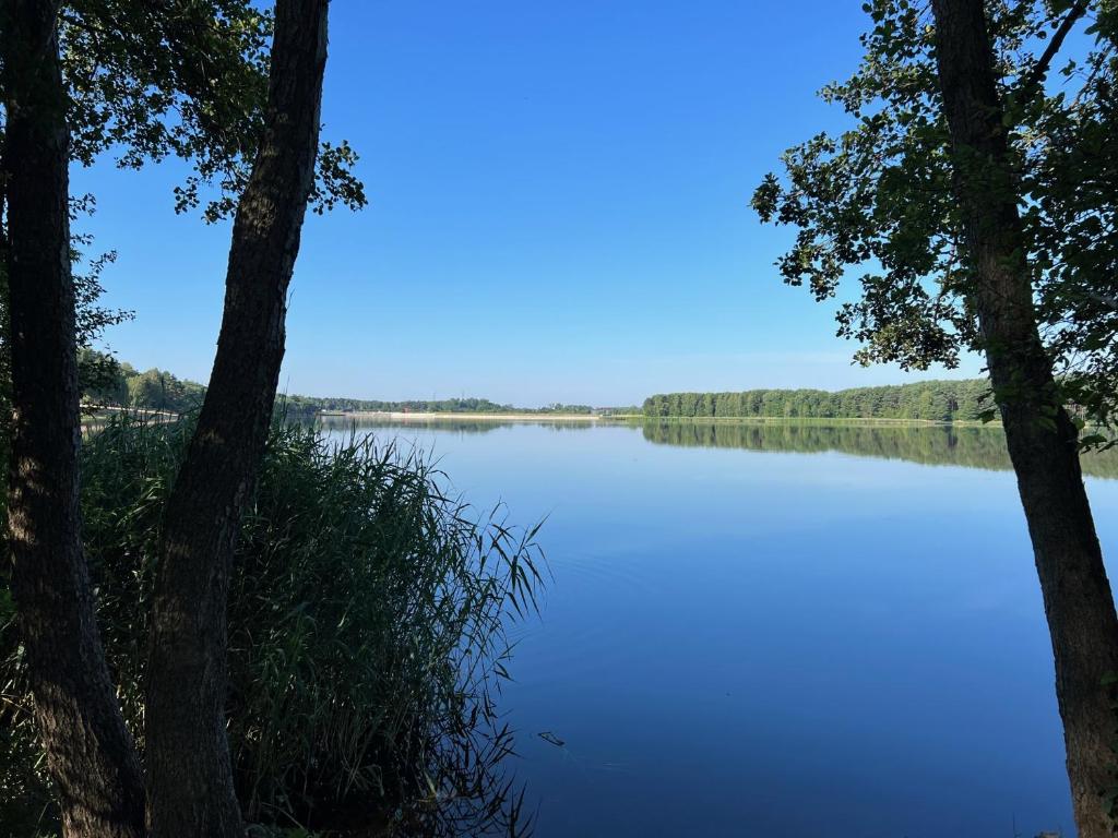 Family & Business Sauna Apartments No 4 Leśny nad Zalewem Cedzyna - 2 Bedroom with Private Sauna, Bath with Hydromassage, Terrace, Parking, Catering Options - 3