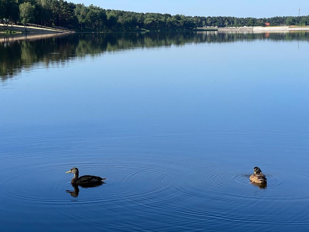Family & Business Sauna Apartments No 6 Leśny nad Zalewem Cedzyna - 1 Bedroom with Private Sauna, Terrace, Parking, Catering Options - 13