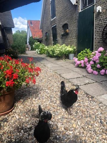 Fotografie z fotogalerie ubytování B&B De Beijersche Stee , Logies in de Wagenschuur v destinaci Stolwijk