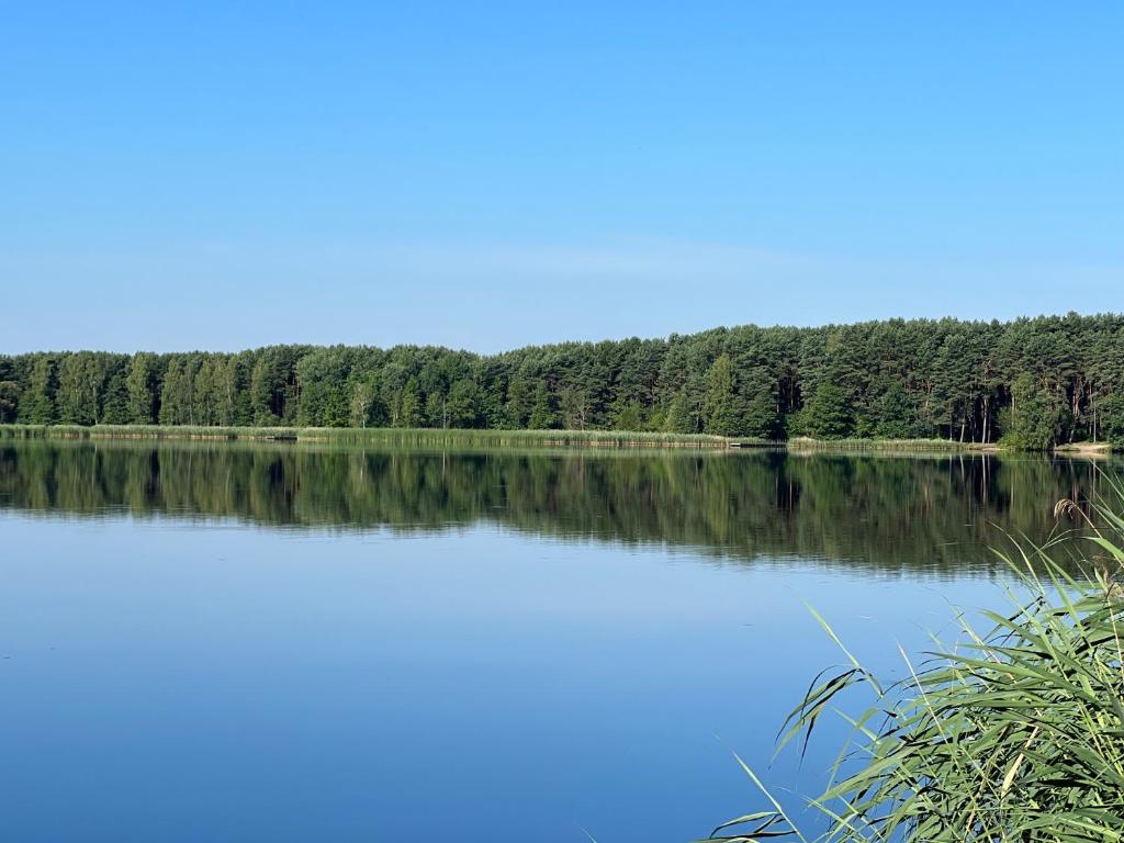 Przyroda w pobliżu tego apartamentu