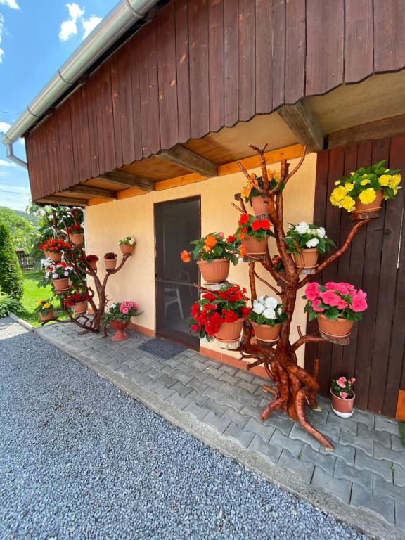 Zahrada ubytování Casa Alberto