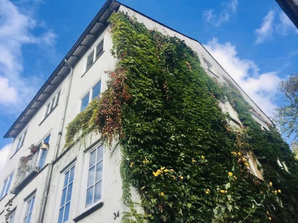 un edificio con hiedra creciendo a su lado en Gästezimmer am Weinberg, en Kassel