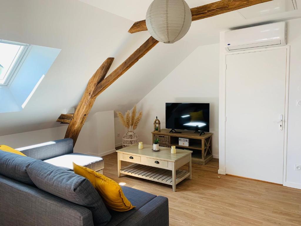 uma sala de estar com um sofá e uma televisão em Centre ville (2): superbe appartement climatisé em La Flèche