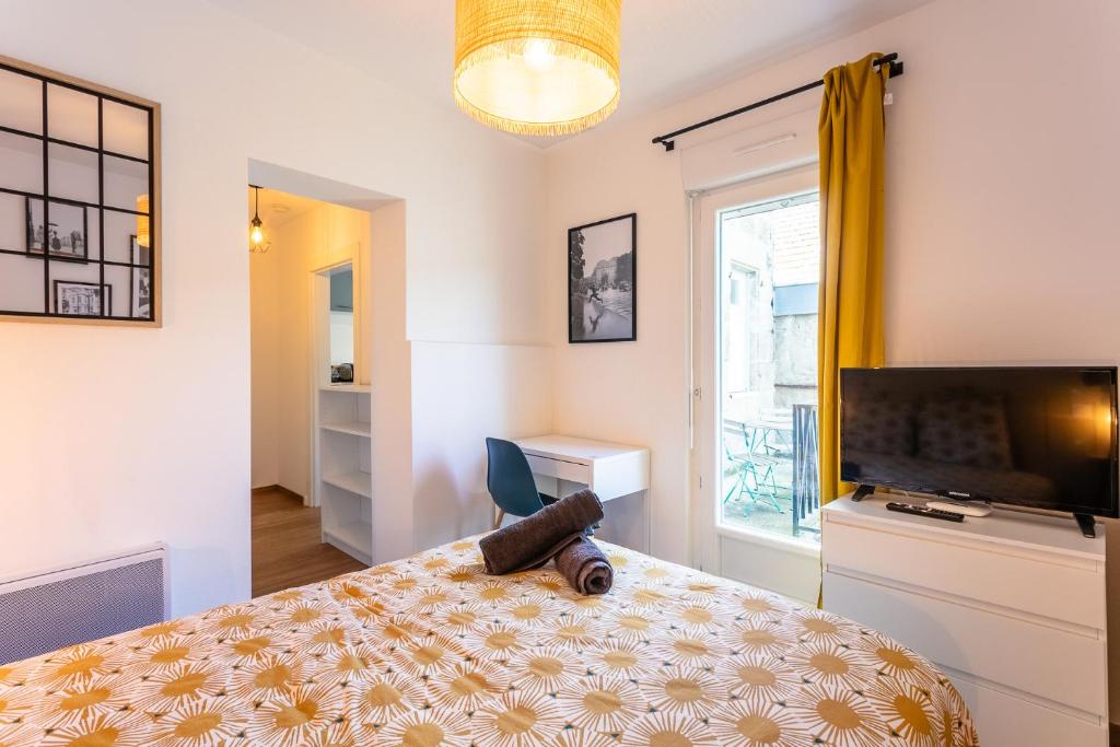 Cosy Apparts Brive - 带露台的公寓