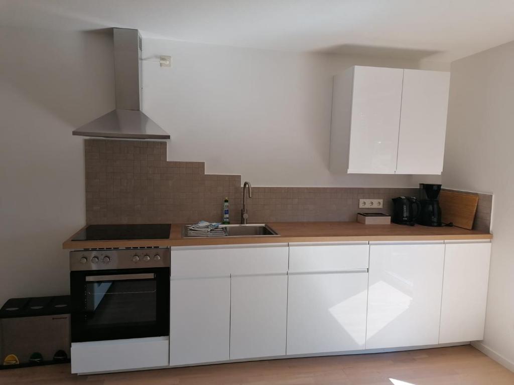 Kuchyň nebo kuchyňský kout v ubytování Ferienwohnung Auengrund