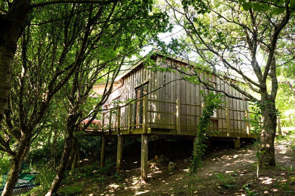 a wooden cabin in the middle of trees at THE HYDE- secret hide away, near the beach. in Truro