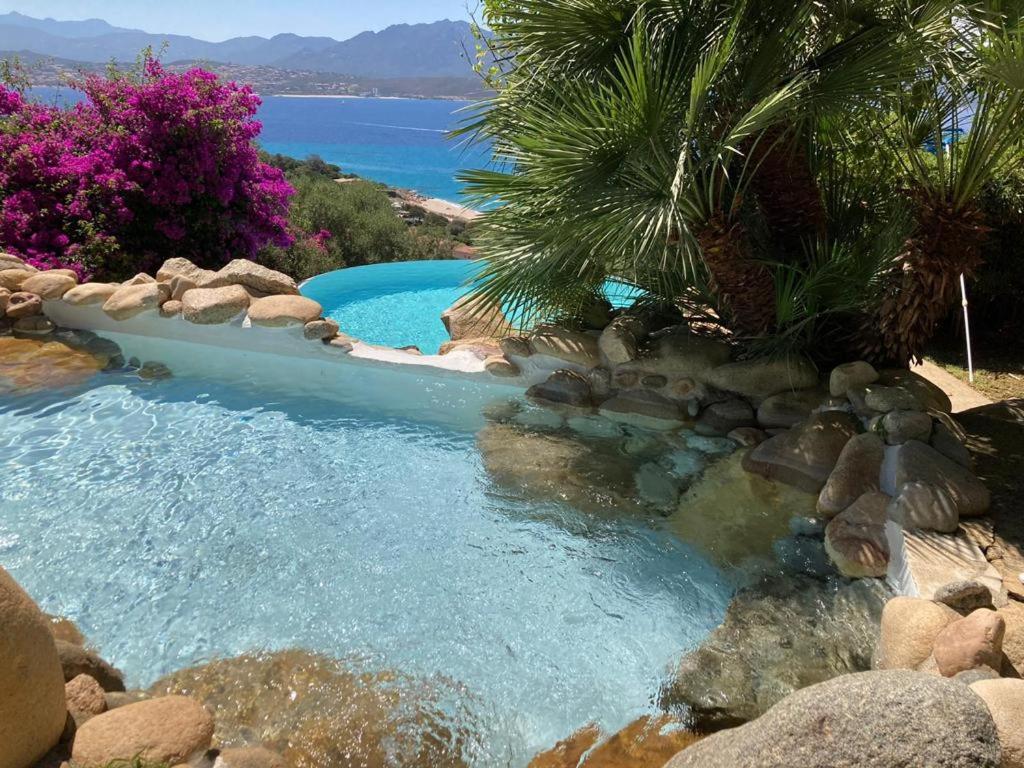 einen Pool in einem Garten mit Bäumen und dem Meer in der Unterkunft Villas Valinco San Martinu Corse du Sud - vue et proche mer - piscines-7 chambres in Olmeto