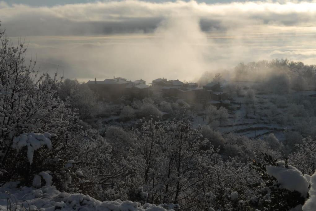 a view of a snow covered field with trees at Cabane et potager sud Cévennes, jacuzzi en option in Roquedur