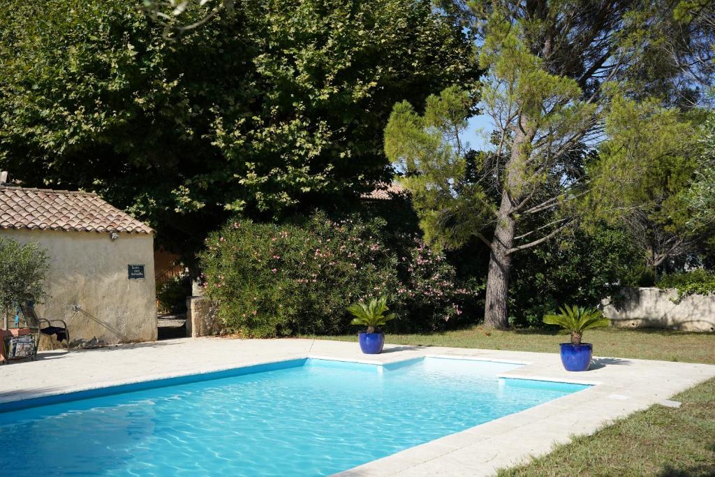 a swimming pool with two potted plants in a yard at Maison d´hôtes Le Mas des Vignes in Rochegude